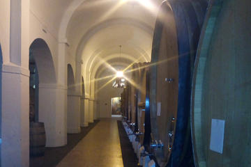 Évora Private Tour - Wine Tourism