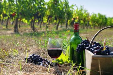 Daily wine tour to Vayots Dzor region