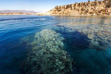 Full Day Tour Snorkling In Ras Mohammed