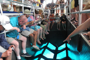 Trip By Glass Boat from Hurghada hotel