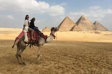 with Egyptology for half day private tour Giza pyramids and sphinx in Cairo or Giza hotel