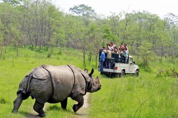 10 Nights 11 Days Kathmandu Chitwan Lumbini Pokhara Dhampus And Nagarkot Tour