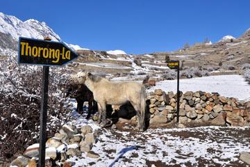 13 Day Annapurna Circuit Trek in Nepal