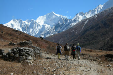 9 Nights 10 Days Langtang Trekking in Nepal
