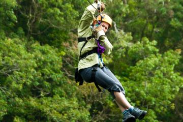 Cancun Combo Tour: Zipline and Off-Road Buggy Adventure