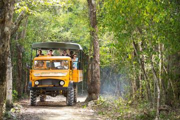 Cancun Jungle Tour: Tulum, Cenote Snorkeling, 4x4 Ride and Ziplining