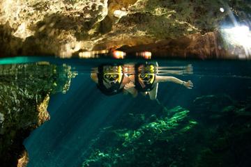Playa del Carmen Jungle Tour: Tulum, Cenote Snorkeling, 4x4 Ride and Ziplining