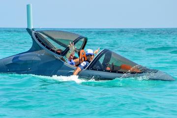 Seabreacher Tour in Cancun