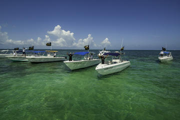 Snorkeling Adventure with Buffet Lunch in Cancun