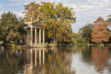 Private Tour: Borghese Gallery and Baroque Rome Art History Walking Tour