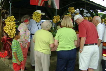 Shore Excursion: Limon Highlights Tour