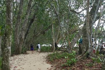 Tree of Life Rescue Center and Cahuita National Park