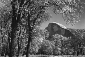 In The Footsteps of Ansel Adams photo class