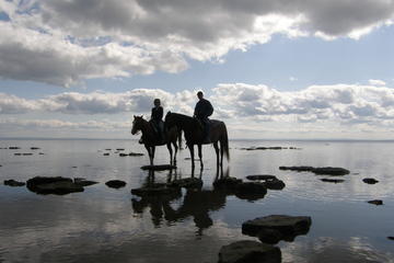 Niagara Beach Horseback Ride