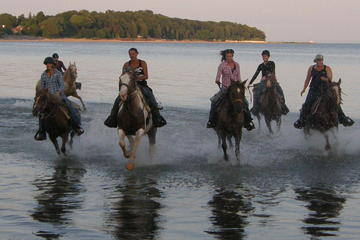 Niagara Falls Horseback Riding