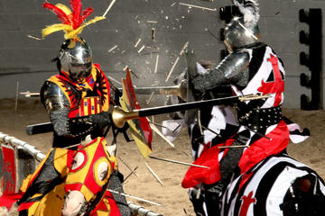 Medieval Fighters Combating