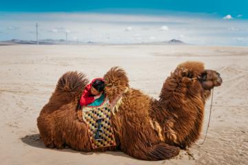 Mongolia In 3 Days