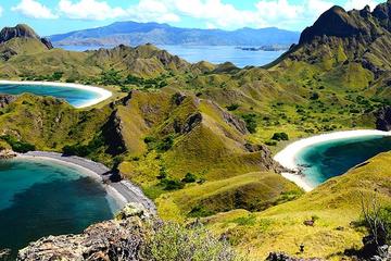 3-Days Sailing Komodo Island,Padar & Manta Point departure every Friday