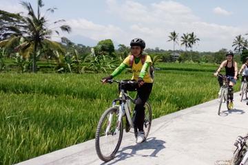 Bali Mountains and Villages Cycling Tour