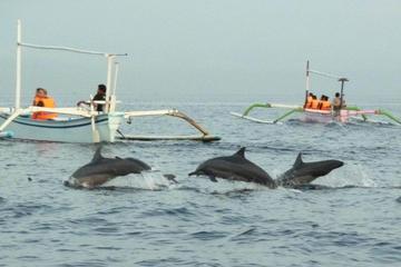 Sambangan Waterfall Tour with Dolphin Watching and Snorkeling in Northern Bali