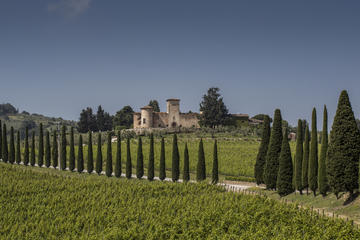 Wine Experience in Chianti Classico