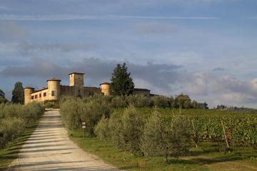 Winery Tour in a Castle in Tuscany