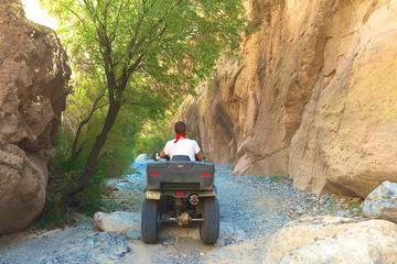 Day Trip Box Canyon ATV Tour in Florence near Florence, Arizona 