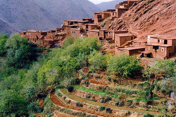 Full Day  in the Ourika Valley  All inclusive