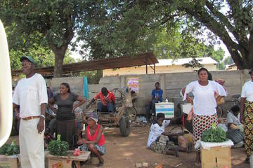Chinotimba Township Day Tour from Victoria Falls