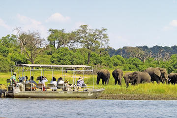 Full-Day Chobe National Park Tour from Victoria Falls