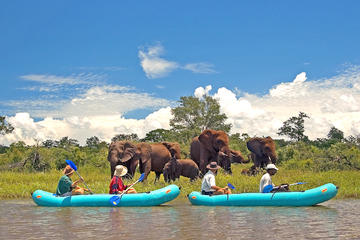 Full-Day Upper Zambezi Canoe Safari from Victoria Falls
