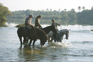 Horse Back Safari Tour from Victoria Falls