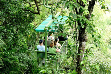 Aerial Tram Tour in Gamboa