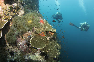2-Day Advanced Adventurer around Koh Tao
