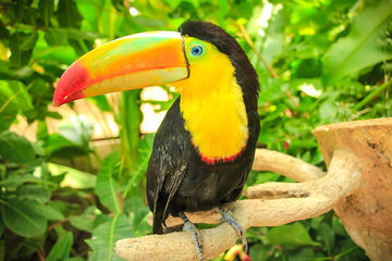 Diamante Eco Adventure Park: Animal Sanctuary Discovery Pass
