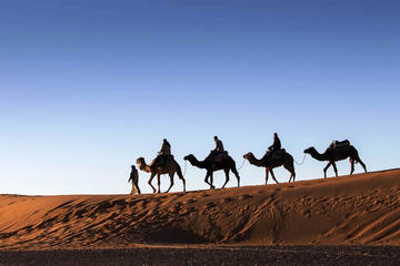 3 Days 2 Nights Desert Trip  from Marrakech to Fez