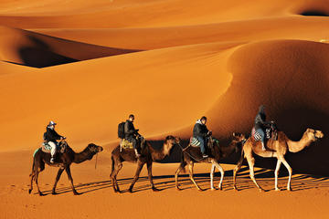 4 Days Fez to Marrakech via Desert Tour in small Group