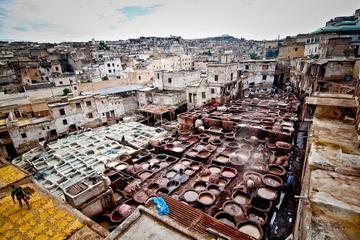 Full-Day Private Tour of Fez