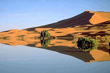 Merzouga 4X4 Half-Day Tour with Lunch