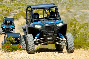 RZR Desert Adventure with Lunch at the Historic Pioneer Saloon
