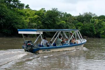 Palo Verde River Eco-Tour from Tamarindo