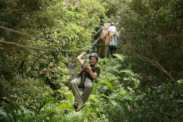Zipline, Horseback Riding, and Hot Springs Private Combo Tour in Guanacaste