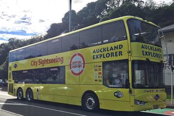 48hr Hop On Hop Off Pass including Devonport Ferry