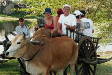 Ox Cart & Floating Village Tours (Half Day Tour)