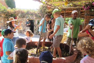 DIONYSUS WINE DAY IN KALAMATA WITH LUNCH