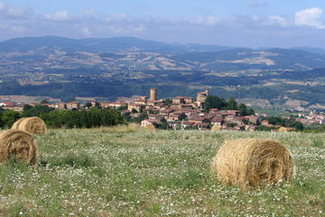 Private Wine Tour of Beaujolais Chateaux with Tasting from Lyon