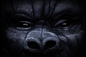 King Kong Alive On Broadway