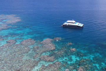 Calypso Outer Great Barrier Reef Cruise from Port Douglas