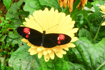 Private Full-Day Mindo Tour from Quito