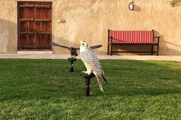 Dubai Falconry and Old Dubai Half-Day Walking Tour